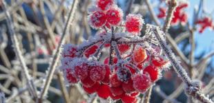 Синоптики предупредили о морозах