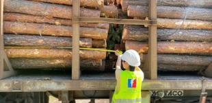 Завдяки контролю договорів купівлі-продажу деревини на УЕБ рівень їх виконання значно збільшується