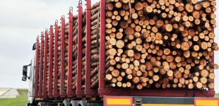 Одразу чотири банки пройшли акредитацію для надання банківських гарантій на ринку деревини