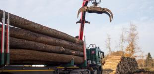 Українська торгова платформа демонструє перспективні показники з виконання біржових договорів купівлі-продажу деревини