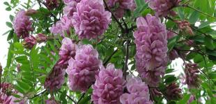 Украину накроют грозы