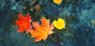 Со вторника Украину накроют дожди, в Карпатах - мокрый снег