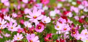 Аномальная жара и бури: синоптики напугали прогнозом погоды на июль и август