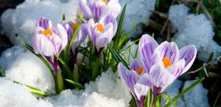 Весна идет в Украину: подморозит только ночью, днем – до +12°