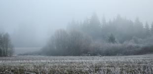 Синоптики прогнозируют снег в Украине в ближайшие дни