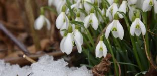 В Украину идет похолодание и снег: прогноз погоды на выходные 12 и 13 февраля