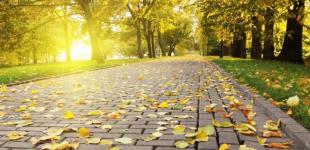 Синоптики обещают украинцам теплую погоду