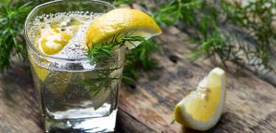 Найкращі бренди Джина: різноманітність смаків та ароматів