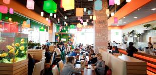 «Сушия» демонстрирует стабильное развитие