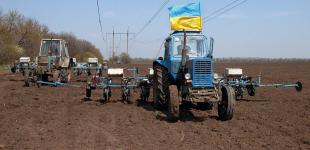 Кабмин хочет передать 500 тыс. гектаров земли в собственность фермеров