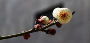 Украина переходит в новый климат: озвучен самый аномальный вариант