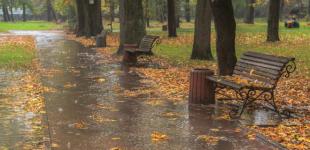 Мороз и дождь: синоптики сообщили, в каких регионах Украины 22 ноября испортится погода