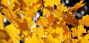 На Украину надвигается резкое похолодание