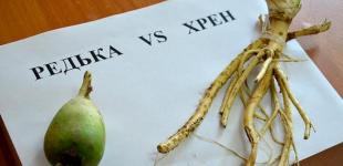 «Думай»? Реально есть над чем подумать