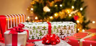 В Антарктиде нашли самое большое яйцо древней рептилии