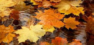 Теплый октябрь: когда ждать похолодания в Украине