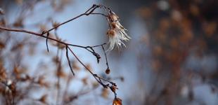 Різкі перепади температури. Якою буде погода на вихідні