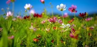 До +40 градусов. В Укргидрометцентре рассказали, какая погода ждет украинцев летом