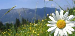 Україну прогріє до +35°, короткочасні дощі – лише у двох регіонах