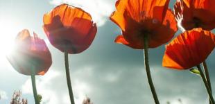 Синоптики сказали, когда вернется жара