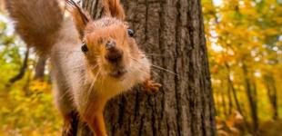 Потепление будет постепенным и с дождями: какая погода ждет Украину на выходных