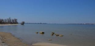 Пестициды в Каховском водохранилище: полиция открыла уголовное производство