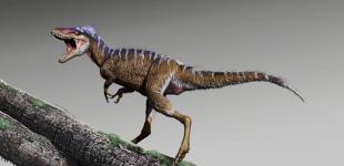 На Мадагаскаре нашли останки крошечного предка динозавров