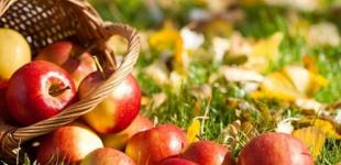 Жара уступит место дождям и грозам: прогноз синоптиков