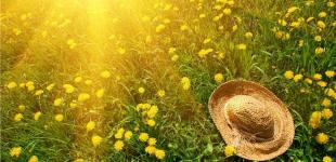 Жара до +32 накроет Украину: синоптик озвучила 