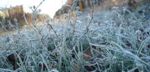 Синоптики сказали, в какие регионы придут морозы первыми 