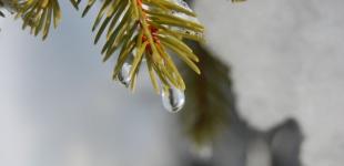 Внезапное потепление. Когда температура в Украине поднимется выше ноля