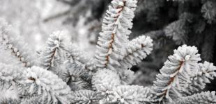 Украинцам обещают морозы