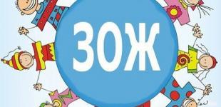 Школам предлагают проект популяризации здорового образа жизни