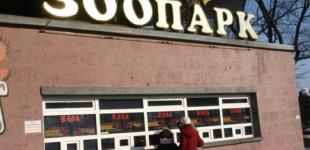 В Київський зоопарк повернувся директор, який пішов у 2006 році