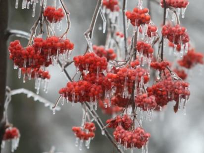 В Україні 5 грудня без опадів, температура повітря вдень до 6° морозу