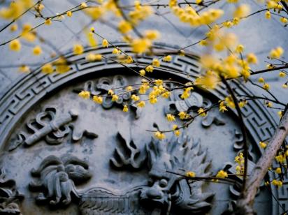 Найщасливіший тиждень березня: 3 знаки зодіаку, яким з 16 по 22 число пощастить по-особливому