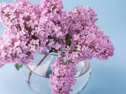 Скільки вихідних у травні 2026 року: повний календар святкових і додаткових днів відпочинку в Україні