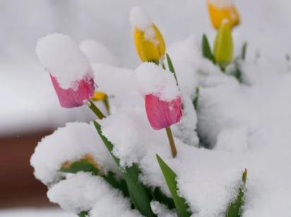 Синоптики попередили про холодний тиждень в Україні: до якої погоди готуватися