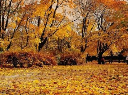 Якою буде погода в Україні у листопаді: прогноз метеорологів