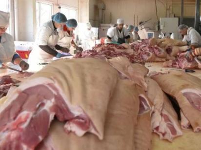 Свинина в Україні може різко здорожчати через небезпечну хворобу