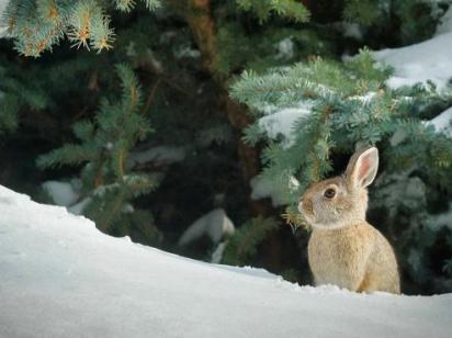 До України йде потепління: як довго воно триватиме
