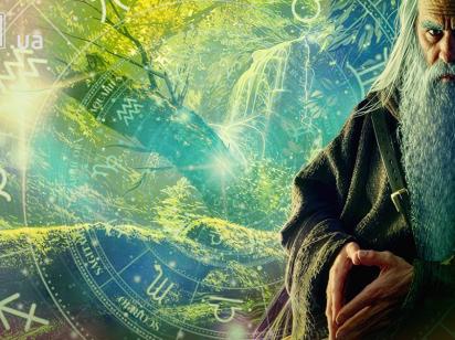 Рослинний гороскоп друїдів на 20 грудня: Терезам — рівновага, Козерогам — зібраність