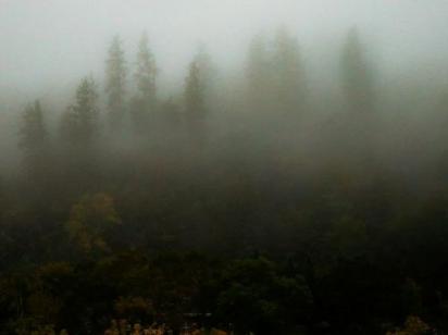 Українців попередили про негоду: деталі