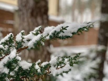 Гороскоп на 25 січня для всіх знаків зодіаку: день, коли не можна шуміти і підвищувати голос