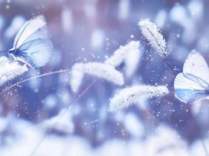 Гороскоп на 16 грудня для всіх знаків зодіаку: день, коли стосунки між людьми пройдуть випробування на міцність