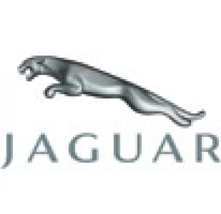 Семейство кошачьих. История автомобильной марки Jaguar