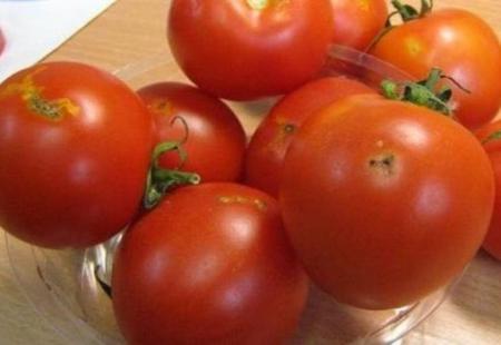 В Украину пытались ввезти зараженные турецкие помидоры