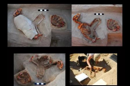 В Египте обнаружено старейшее кладбище домашних животных
