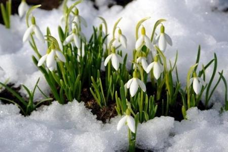 Накануне 8 марта Киеву обещают «почти весну»