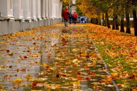 Побьёт все температурные рекорды: метеорологи рассказали, какой в Украине будет погода в октябре